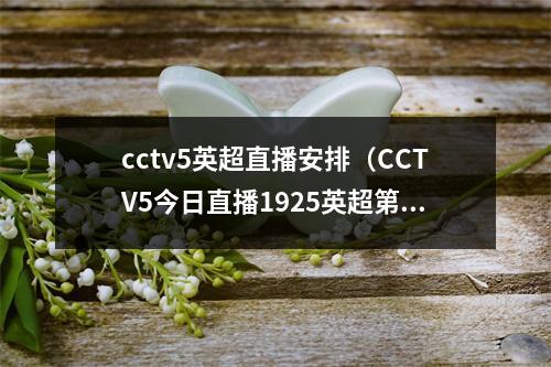 cctv5英超直播安排（CCTV5今日直播1925英超第29轮曼城利物浦）