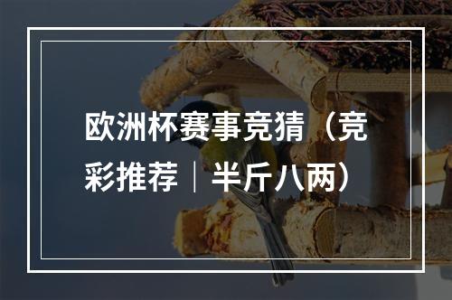 欧洲杯赛事竞猜（竞彩推荐｜半斤八两）