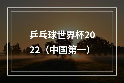 乒乓球世界杯2022（中国第一）