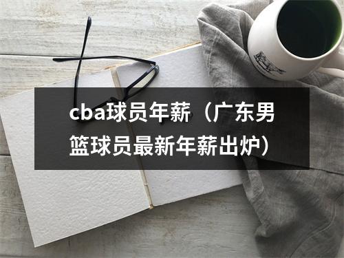 cba球员年薪（广东男篮球员最新年薪出炉）