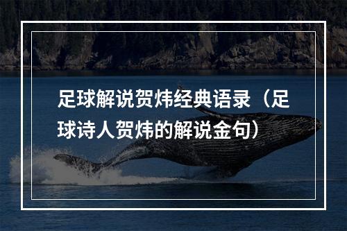 足球解说贺炜经典语录（足球诗人贺炜的解说金句）