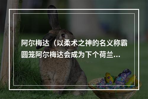 阿尔梅达（以柔术之神的名义称霸圆笼阿尔梅达会成为下个荷兰骑士吗）