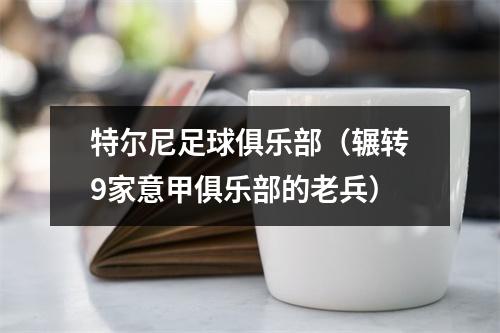 特尔尼足球俱乐部（辗转9家意甲俱乐部的老兵）