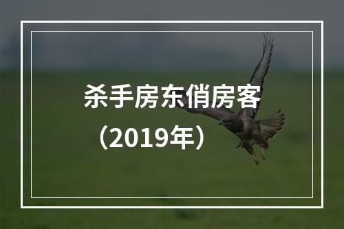 杀手房东俏房客（2019年）