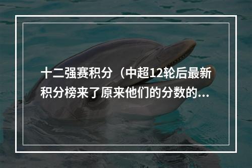 十二强赛积分（中超12轮后最新积分榜来了原来他们的分数的这样的中超）