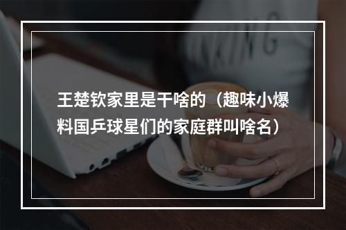 王楚钦家里是干啥的（趣味小爆料国乒球星们的家庭群叫啥名）