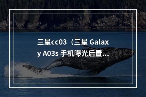 三星cc03（三星 Galaxy A03s 手机曝光后置三摄）