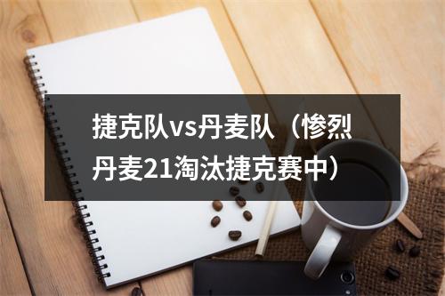 捷克队vs丹麦队（惨烈丹麦21淘汰捷克赛中）