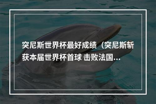 突尼斯世界杯最好成绩（突尼斯斩获本届世界杯首球 击败法国但仍无缘晋级）