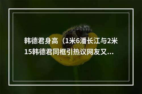 韩德君身高（1米6潘长江与2米15韩德君同框引热议网友又一对哈德森宋小宝）