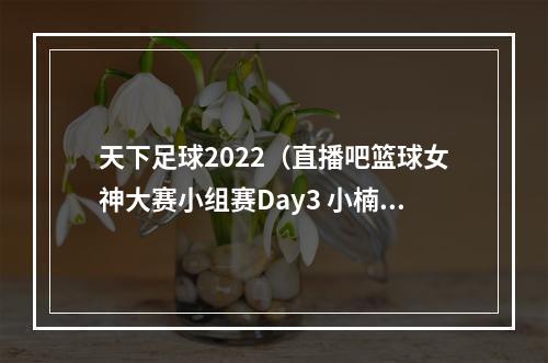 天下足球2022（直播吧篮球女神大赛小组赛Day3 小楠拜月宁茶丽你Pick谁）