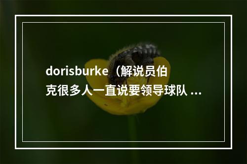 dorisburke（解说员伯克很多人一直说要领导球队 库里从没说过但他一直在做）