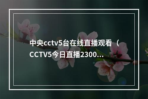 中央cctv5台在线直播观看（CCTV5今日直播2300卡塔尔世界杯决赛阿根廷法国）