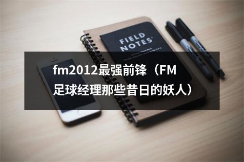 fm2012最强前锋（FM足球经理那些昔日的妖人）