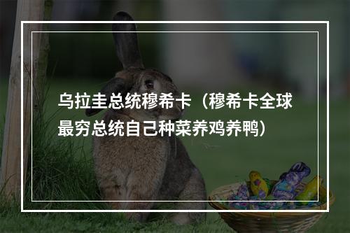 乌拉圭总统穆希卡（穆希卡全球最穷总统自己种菜养鸡养鸭）