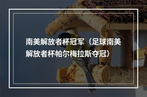 南美解放者杯冠军（足球南美解放者杯帕尔梅拉斯夺冠）