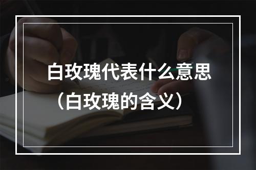 白玫瑰代表什么意思（白玫瑰的含义）