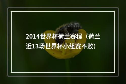 2014世界杯荷兰赛程（荷兰近13场世界杯小组赛不败）