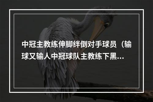 中冠主教练伸脚绊倒对手球员（输球又输人中冠球队主教练下黑脚绊倒对方快攻球员）