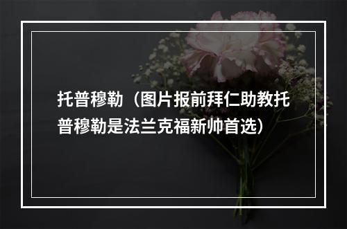 托普穆勒（图片报前拜仁助教托普穆勒是法兰克福新帅首选）