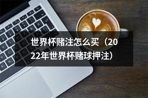 世界杯赌注怎么买（2022年世界杯赌球押注）