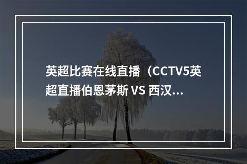 英超比赛在线直播（CCTV5英超直播伯恩茅斯 VS 西汉姆联中文比赛全程高清视频）