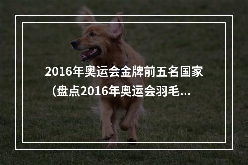 2016年奥运会金牌前五名国家（盘点2016年奥运会羽毛球各单项冠军）