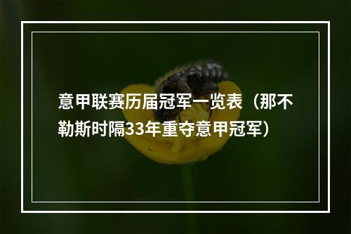 意甲联赛历届冠军一览表（那不勒斯时隔33年重夺意甲冠军）