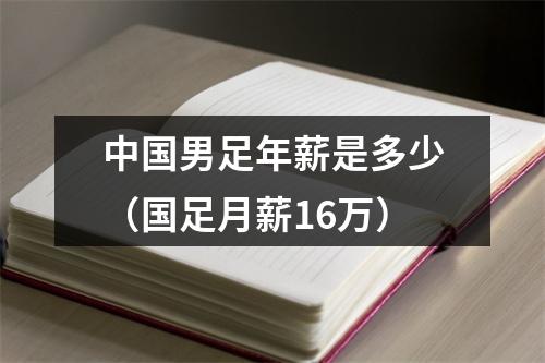 中国男足年薪是多少（国足月薪16万）