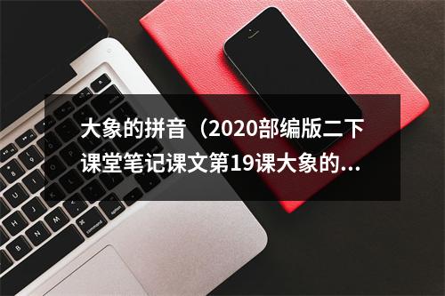 大象的拼音（2020部编版二下课堂笔记课文第19课大象的耳朵可下载）