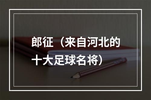 郎征（来自河北的十大足球名将）