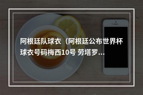 阿根廷队球衣（阿根廷公布世界杯球衣号码梅西10号 劳塔罗22号 迪马利亚11号）