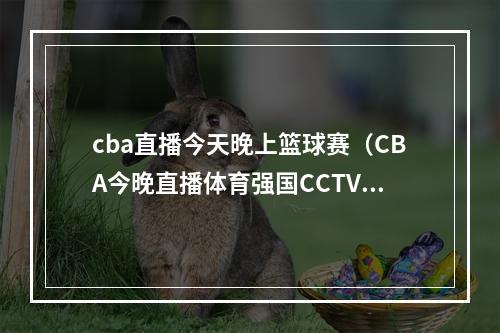 cba直播今天晚上篮球赛（CBA今晚直播体育强国CCTV5带您无限精彩）