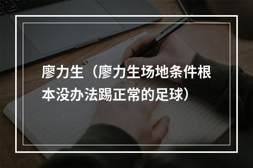 廖力生（廖力生场地条件根本没办法踢正常的足球）