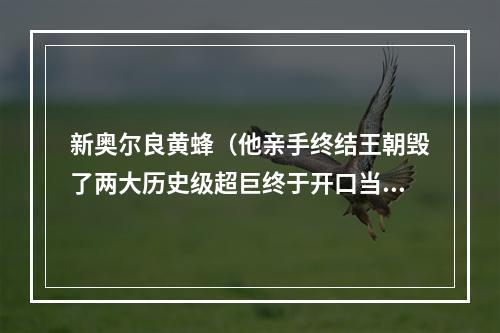 新奥尔良黄蜂（他亲手终结王朝毁了两大历史级超巨终于开口当年不怪我）