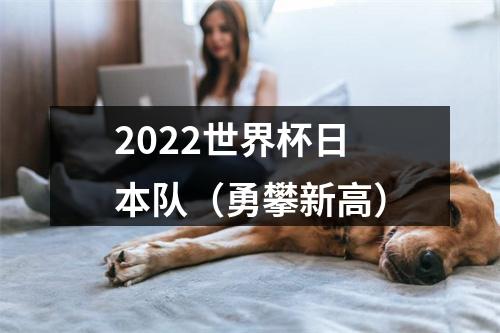 2022世界杯日本队（勇攀新高）