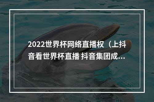 2022世界杯网络直播权（上抖音看世界杯直播 抖音集团成为2022世界杯持权转播商）