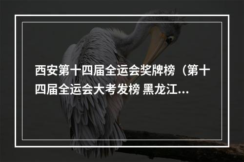 西安第十四届全运会奖牌榜（第十四届全运会大考发榜 黑龙江军团冬夏项目齐发力 总奖牌榜位次排第六 夏季项目出现新王牌）