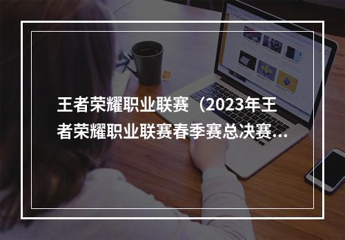 王者荣耀职业联赛（2023年王者荣耀职业联赛春季赛总决赛杭州落幕）