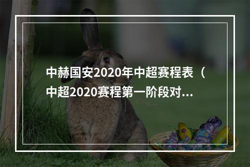 中赫国安2020年中超赛程表（中超2020赛程第一阶段对阵时间表名单首场恒大vs申花）