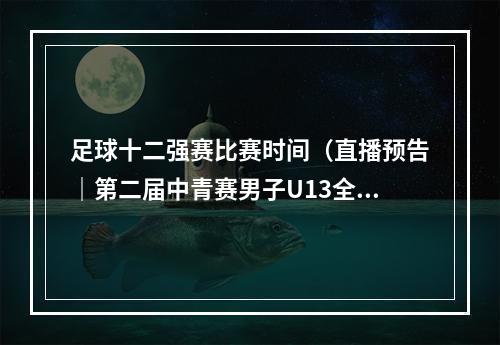 足球十二强赛比赛时间（直播预告｜第二届中青赛男子U13全国总决赛淘汰排位赛第二轮）