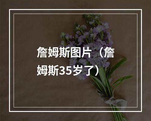 詹姆斯图片（詹姆斯35岁了）