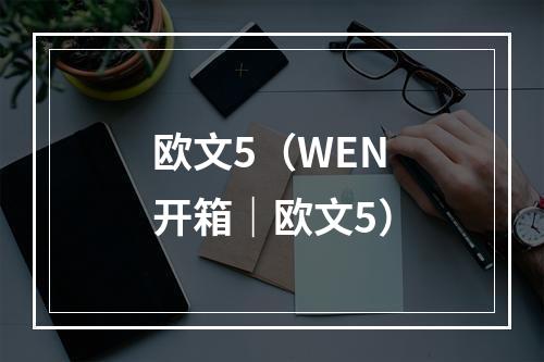 欧文5（WEN开箱｜欧文5）