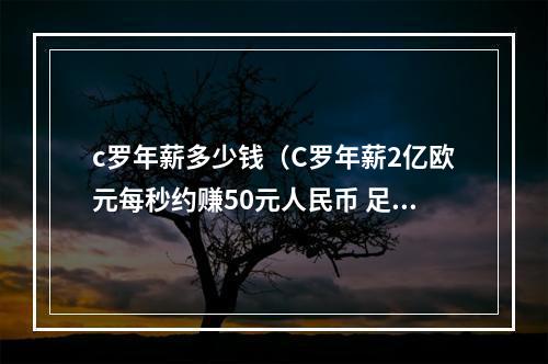 c罗年薪多少钱（C罗年薪2亿欧元每秒约赚50元人民币 足坛年收入断层第一）