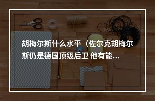 胡梅尔斯什么水平（佐尔克胡梅尔斯仍是德国顶级后卫 他有能力踢国家队）