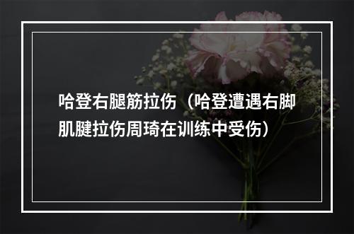 哈登右腿筋拉伤（哈登遭遇右脚肌腱拉伤周琦在训练中受伤）