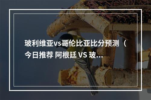 玻利维亚vs哥伦比亚比分预测（今日推荐 阿根廷 VS 玻利维亚 巴拉圭 比分预测）