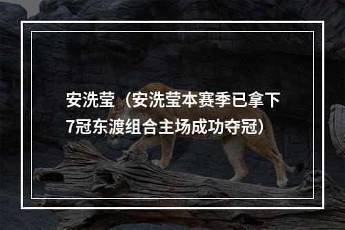 安洗莹（安洗莹本赛季已拿下7冠东渡组合主场成功夺冠）