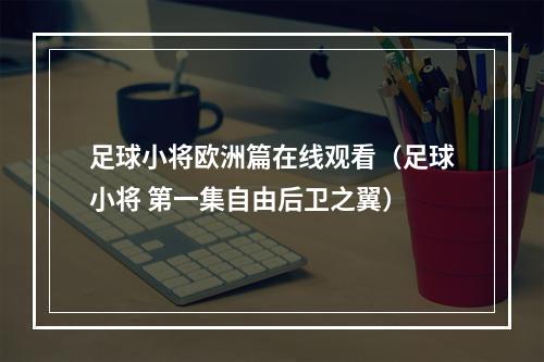 足球小将欧洲篇在线观看（足球小将 第一集自由后卫之翼）