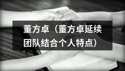 董方卓（董方卓延续团队结合个人特点）